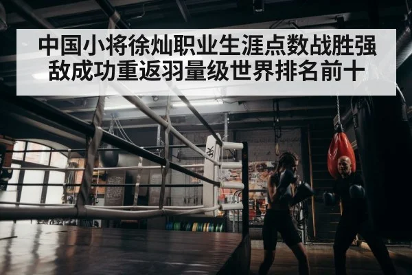 boxer training in gym